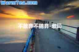 不放弃不抛弃-歌词