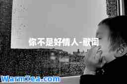 你不是好情人-歌词