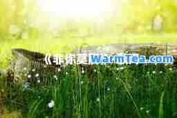 《非你莫属》-歌词
