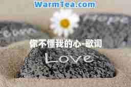 你不懂我的心-歌词
