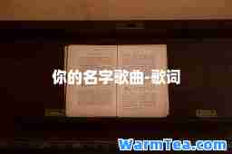 你的名字歌曲-歌词
