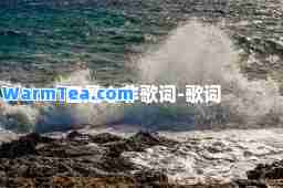 口是心非歌词-歌词