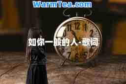 如你一般的人-歌词