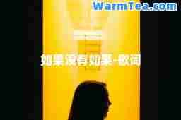 如果没有如果-歌词