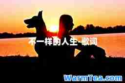 不一样的人生-歌词