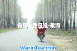 你是谁我是谁-歌词