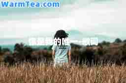 你是我的-歌词