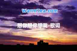 想你想你想我-歌词