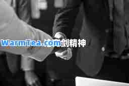 论亮剑精