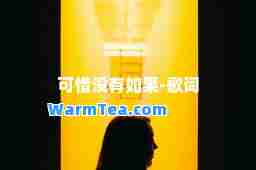 可惜没有如果-歌词