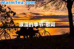 浪漫的季节-歌词