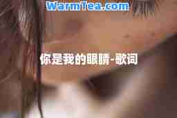 你是我的眼睛-歌词