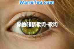 你的眼睛歌词-歌词