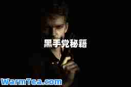 黑手秘籍