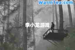 李小龙游戏