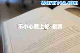 不小心爱上你-歌词