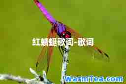 红蜻蜓歌词-歌词
