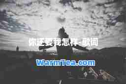 你还要我怎样-歌词