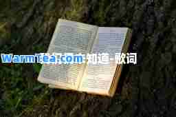 我们仍未知道-歌词