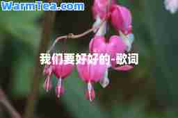 我们要好好的-歌词