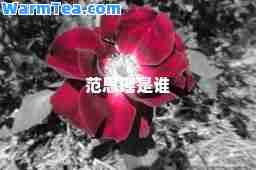 范思瑶是谁