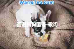 圣诞狗狗国语-歌词
