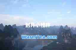 封开小桂林