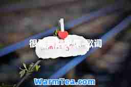 很高兴遇见你-歌词