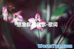 想念你想念你-歌词