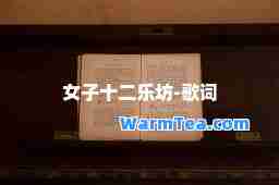 女子十二乐坊-歌词