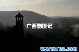 广西剿匪记