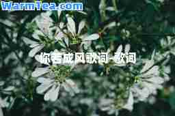 你若成风歌词-歌词