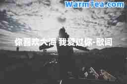 你喜欢大海 我爱过你-歌词 你喜欢大海 我爱过你-歌词