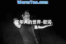 成年人的世界-歌词