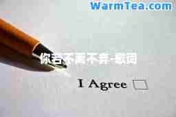 你若不离不弃-歌词