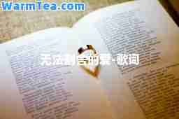 无法割舍的爱-歌词