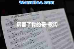 厉害了我的哥-歌词 厉害了我的哥-歌词