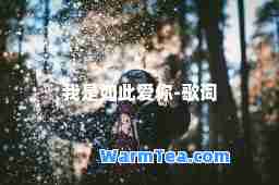 我是如此爱你-歌词