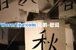 我们是亲兄弟-歌词