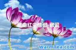 歌曲红尘情歌-歌词