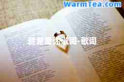 就是爱你歌词-歌词