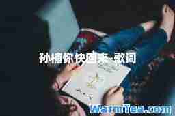 孙楠你快回来-歌词