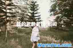 我的老爸老妈-歌词