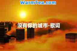 没有你的城市-歌词
