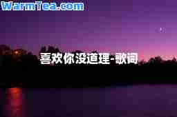 喜欢你没道理-歌词