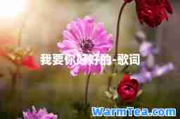 我要你好好的-歌词