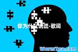 你为什么说谎-歌词