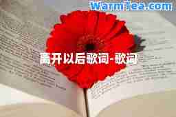 离开以后歌词-歌词