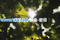 感恩的心歌曲-歌词