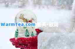 没有你的冬天-歌词 没有你的冬天-歌词